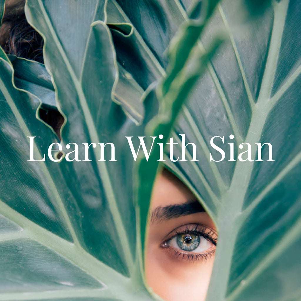 Learn With Sian (Pro Courses) - COMING SOON